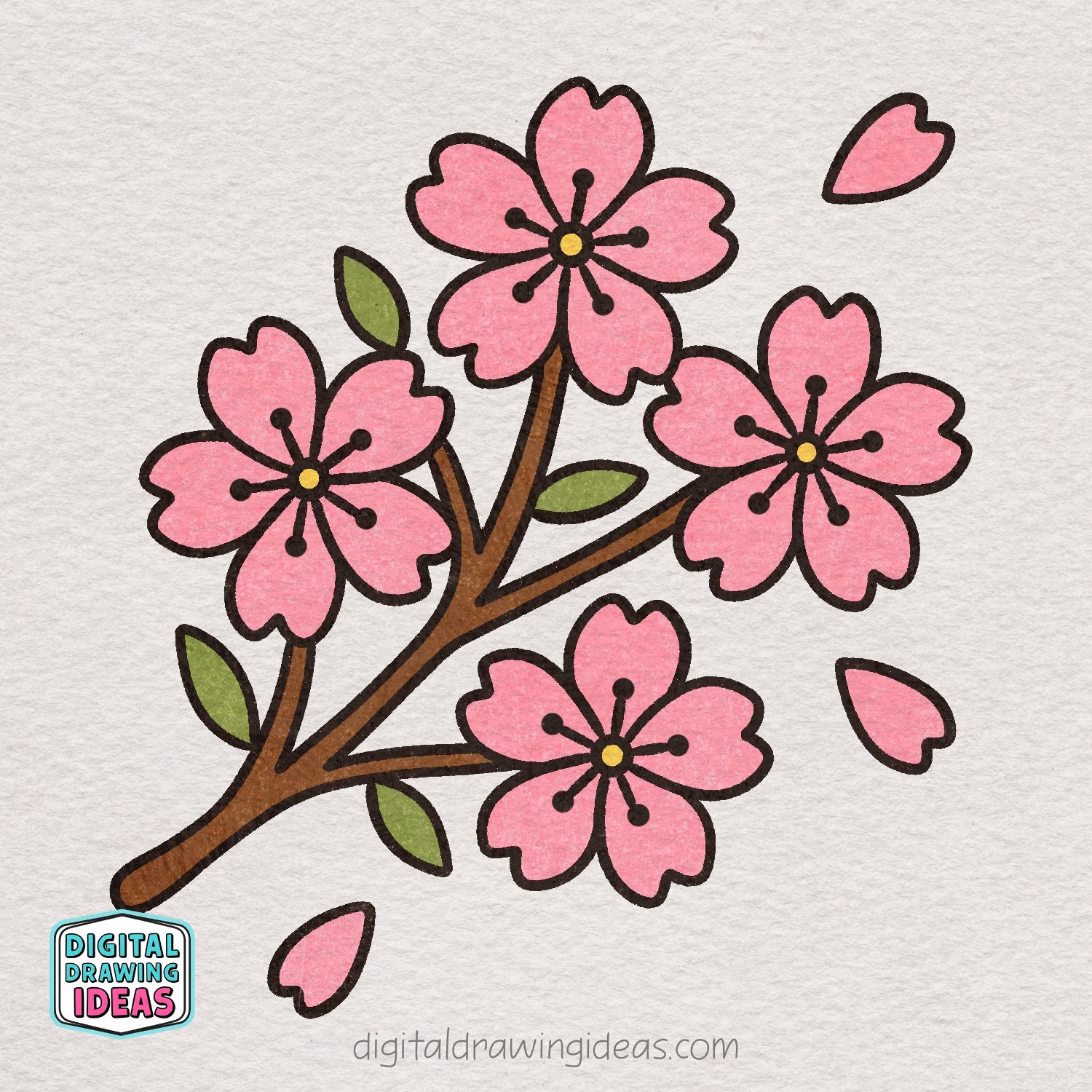 How to Draw a Sakura Flower - Digital Drawing Ideas
