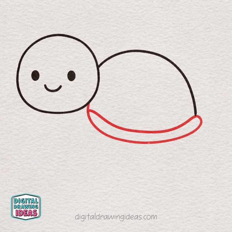 How to Draw a Turtle - Digital Drawing Ideas