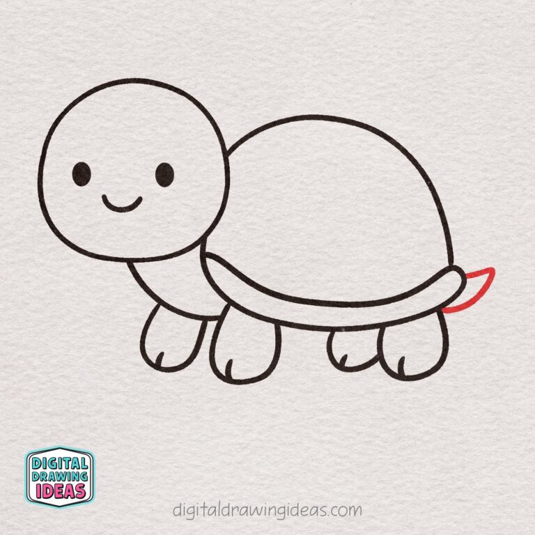 How to Draw a Turtle - Digital Drawing Ideas