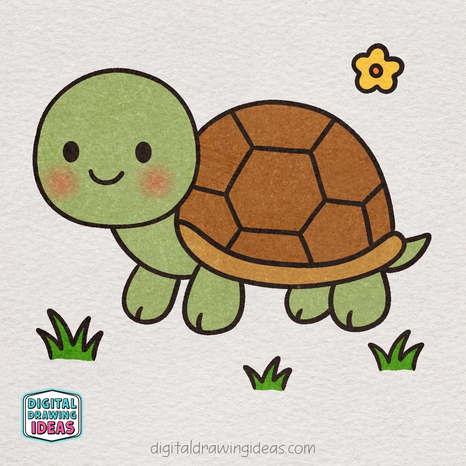 How To Draw A Cute Turtle How To Draw A Turtle How To Draw A Cute Turtle How To Draw A Turtle