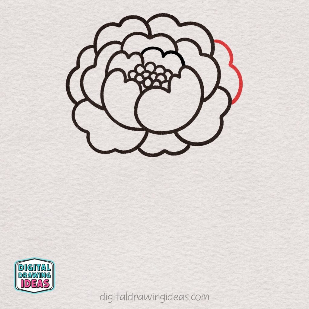 how to draw a peony flower - easy peony drawing