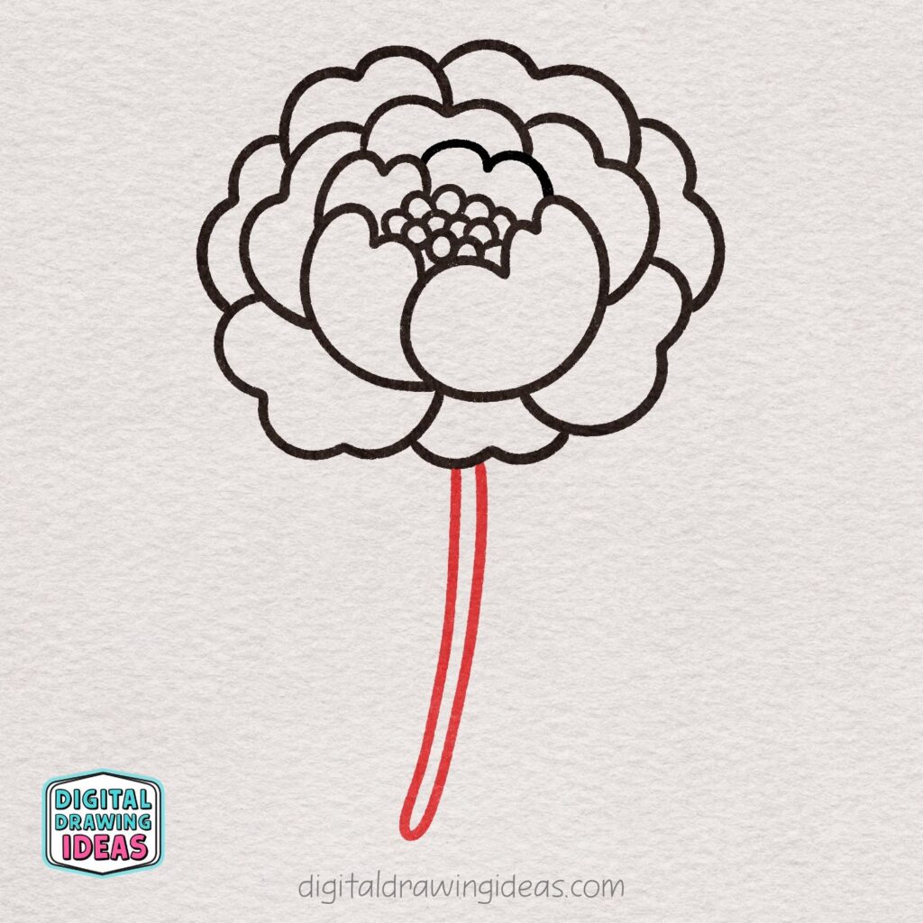 how to draw a peony flower - easy peony drawing