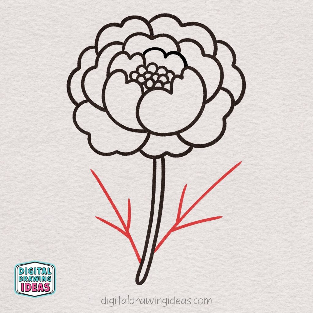 how to draw a peony flower - easy peony drawing