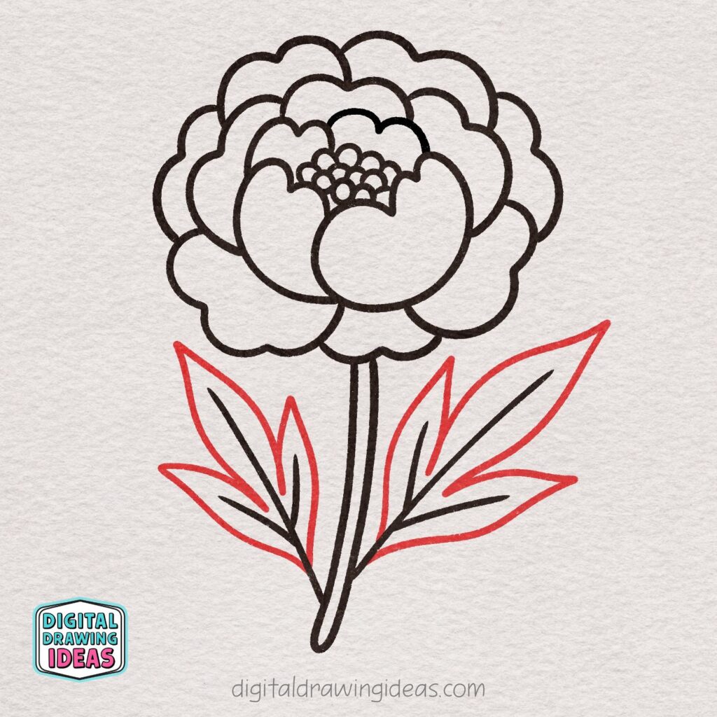 how to draw a peony flower - easy peony drawing