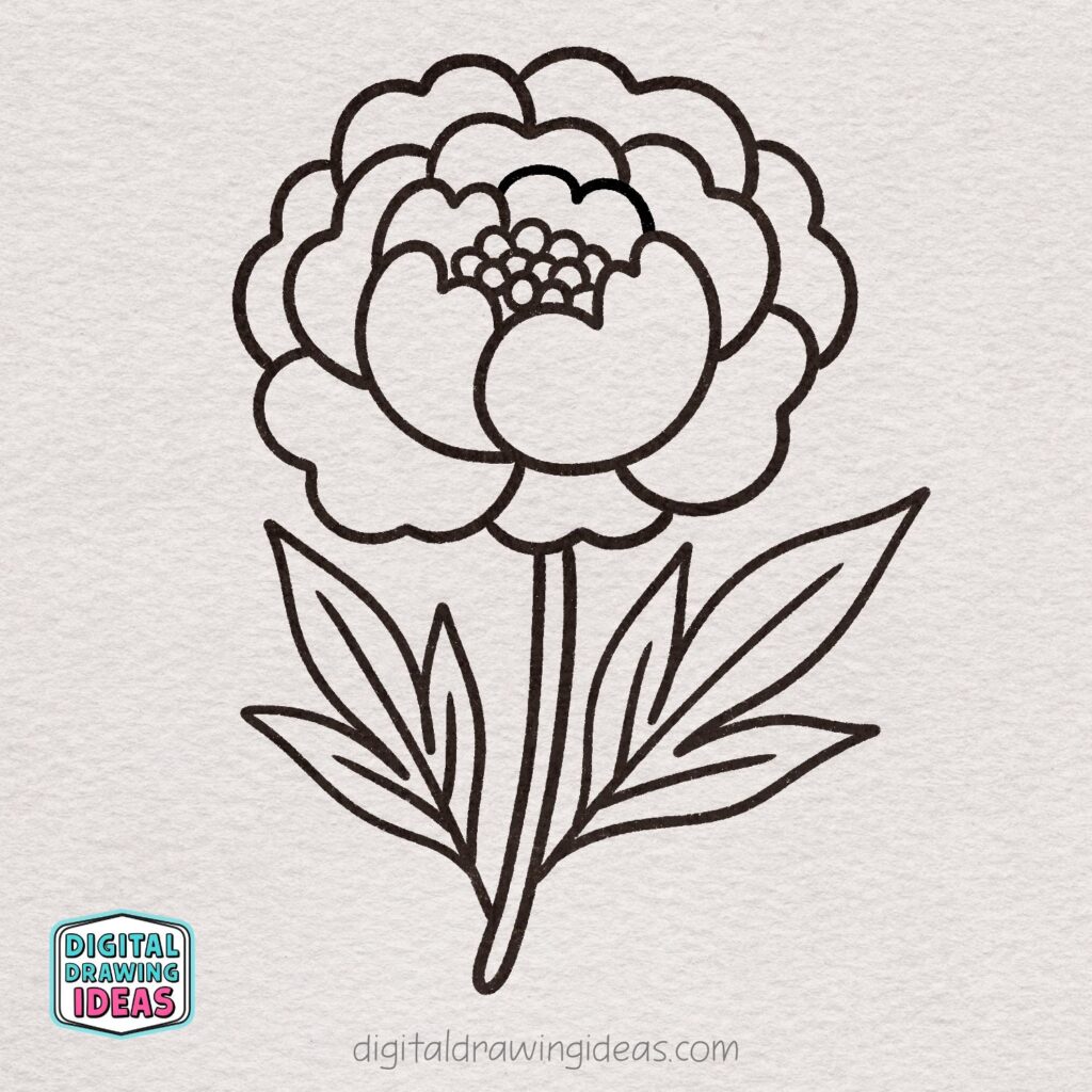 how to draw a peony flower - easy peony drawing