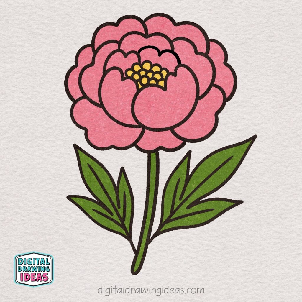 how to draw a peony flower - easy peony drawing