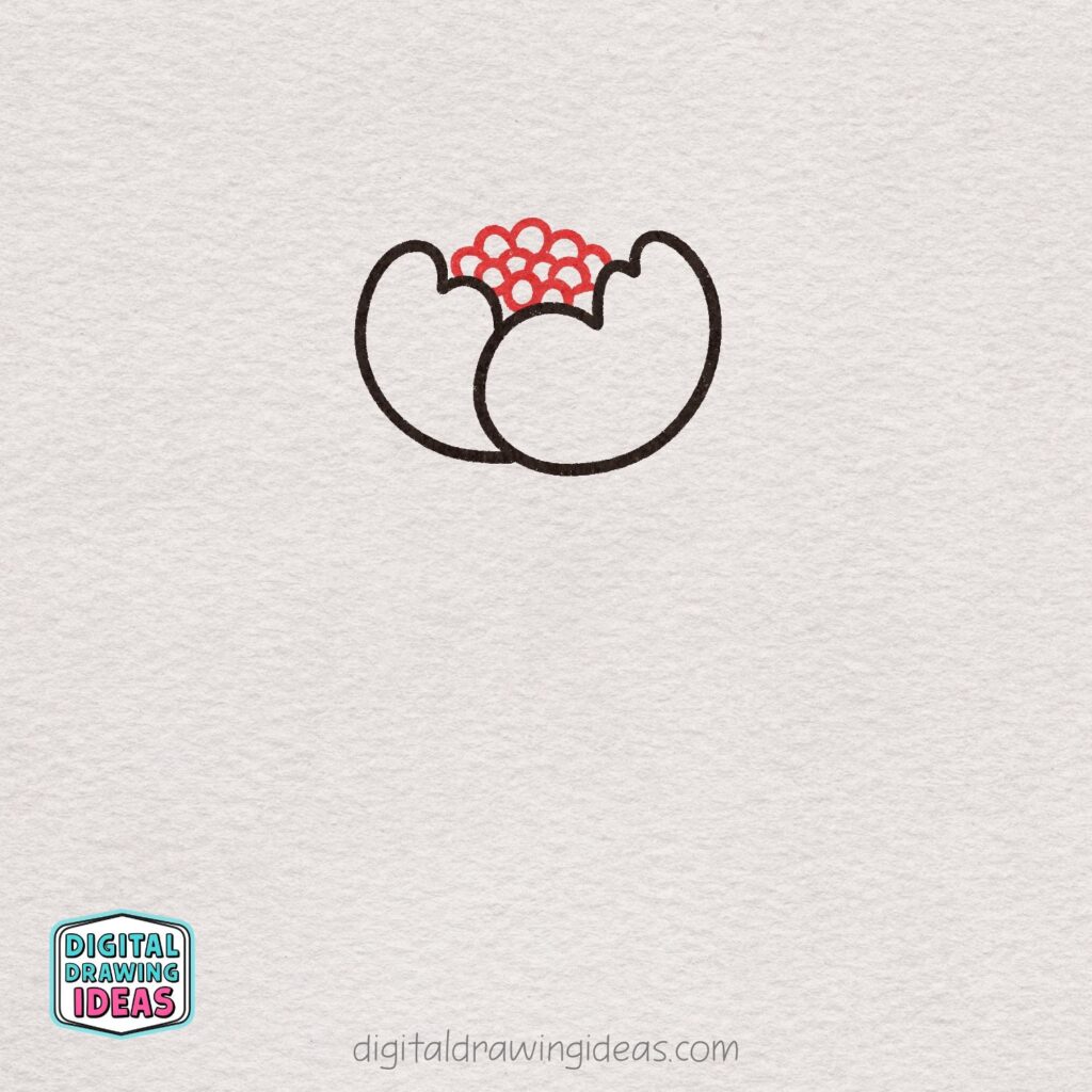 how to draw a peony flower - easy peony drawing