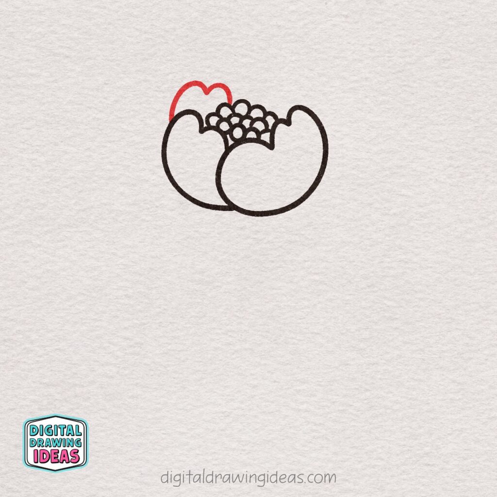 how to draw a peony flower - easy peony drawing