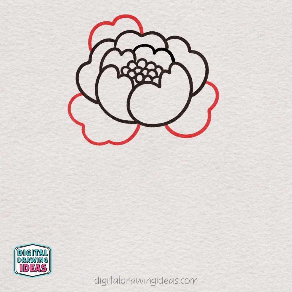 how to draw a peony flower - easy peony drawing