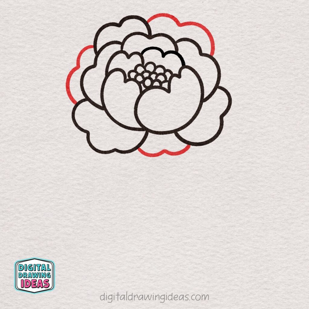 how to draw a peony flower - easy peony drawing