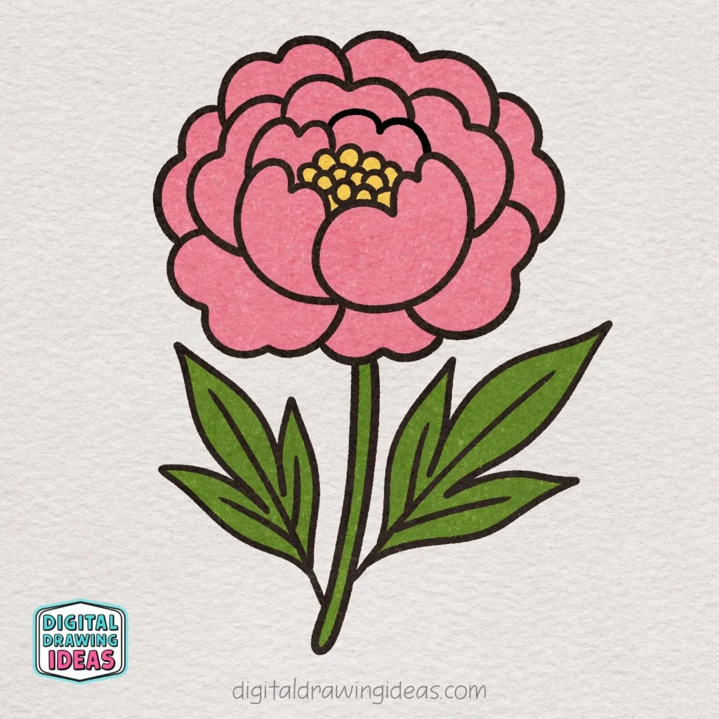 how to draw a peony flower - easy peony drawing