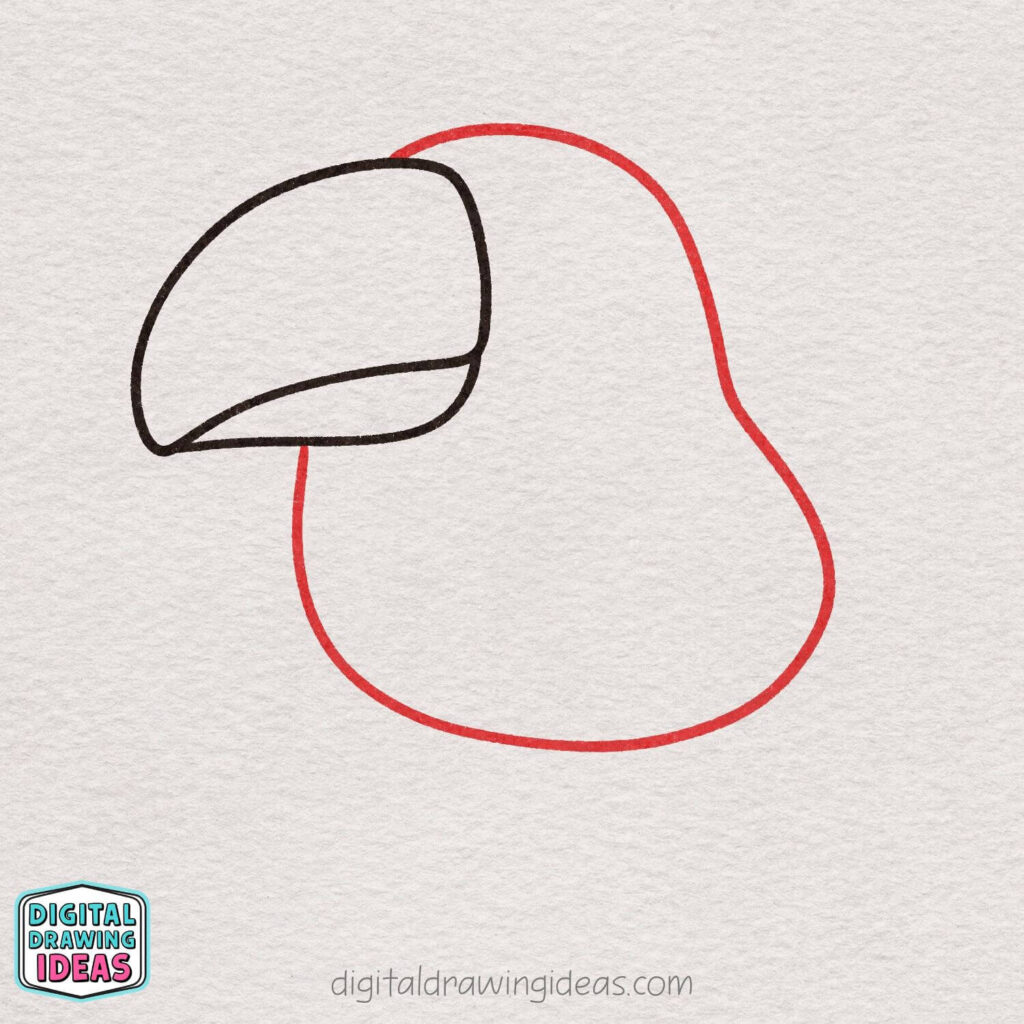 how to draw a toucan step by step - cute toucan drawing