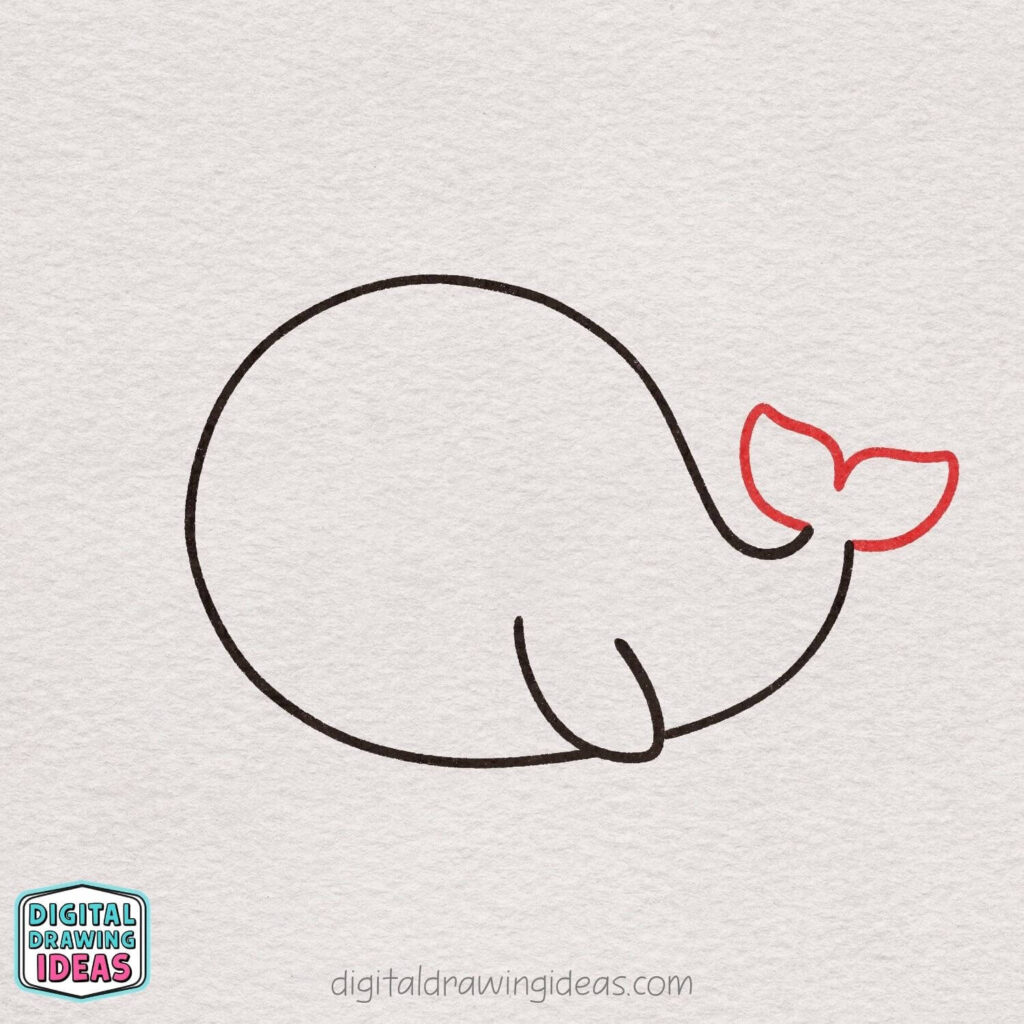 how to draw a whale - cute whale drawing