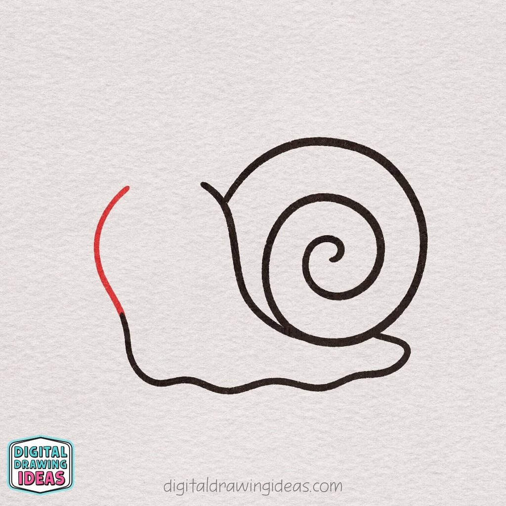 how to draw a snail step by step - cute snail drawing tutorial