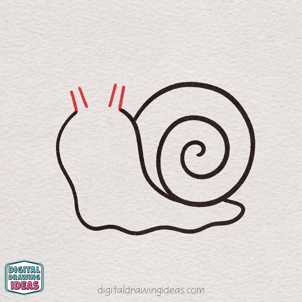 how to draw a snail step by step - cute snail drawing tutorial