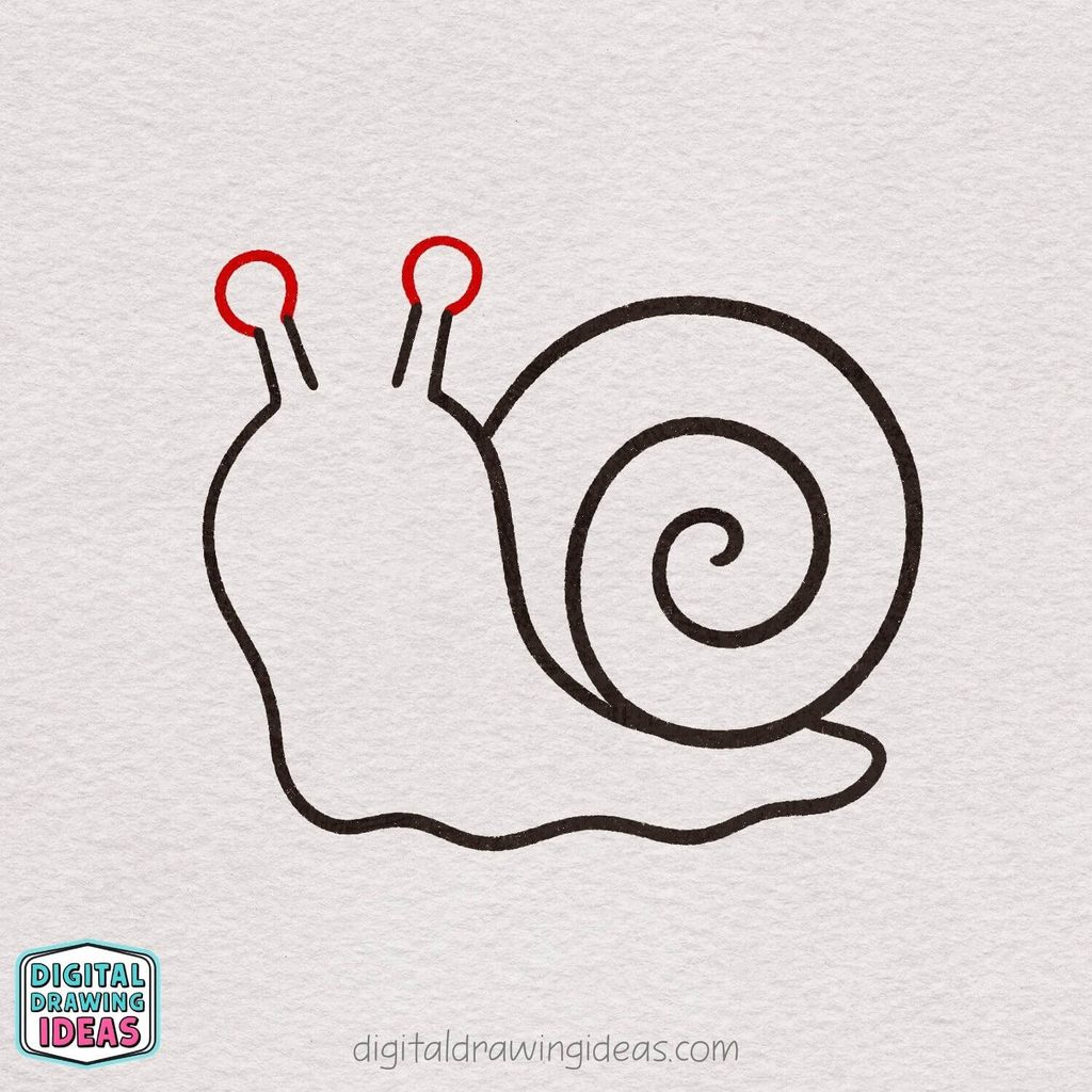 how to draw a snail step by step - cute snail drawing tutorial