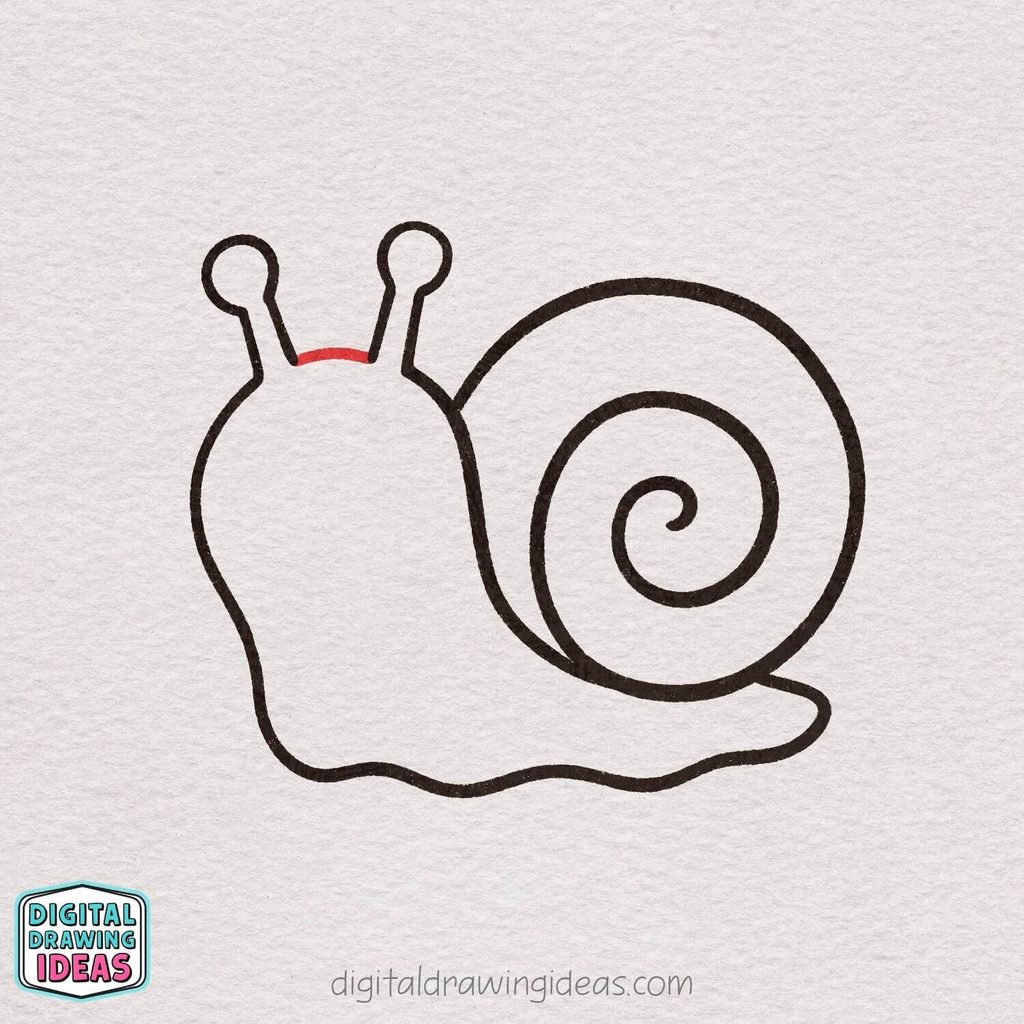how to draw a snail step by step - cute snail drawing tutorial